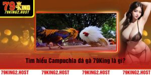 Tìm hiểu Campuchia đá gà 79King là gì?